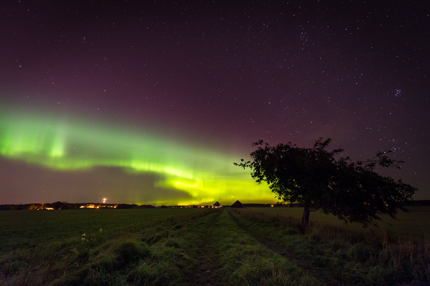 Norrsken - Danmarks gärde